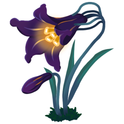 Eclipse Lily
