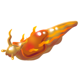 Sun Slug